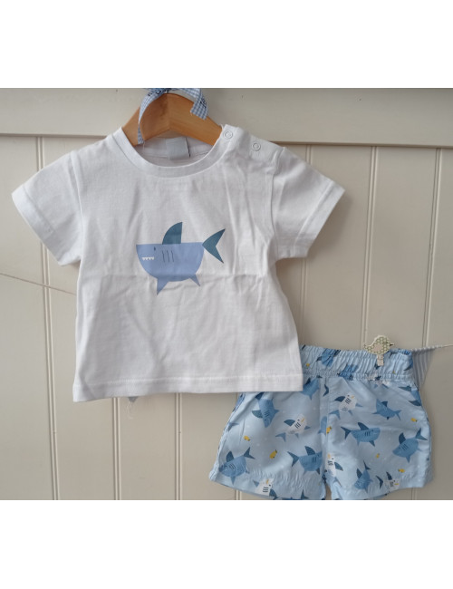 Conjunto tiburon