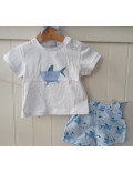Conjunto tiburon