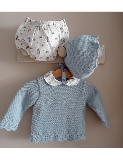 Conjunto erizos